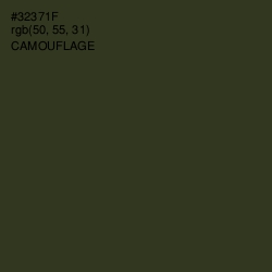 #32371F - Camouflage Color Image