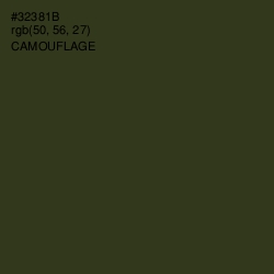 #32381B - Camouflage Color Image