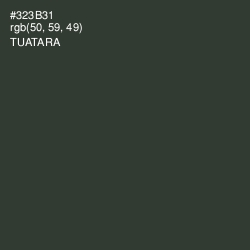 #323B31 - Tuatara Color Image