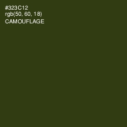 #323C12 - Camouflage Color Image