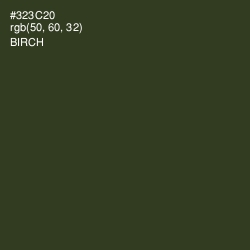 #323C20 - Birch Color Image