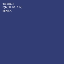 #323D75 - Minsk Color Image