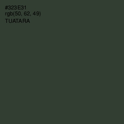 #323E31 - Tuatara Color Image