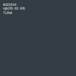 #323E44 - Tuna Color Image