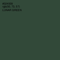 #324939 - Lunar Green Color Image