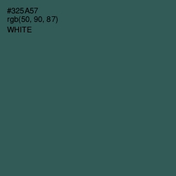 #325A57 - Stromboli Color Image