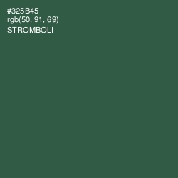 #325B45 - Stromboli Color Image