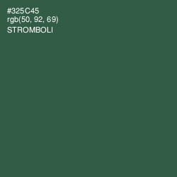 #325C45 - Stromboli Color Image