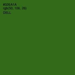 #326A1A - Dell Color Image