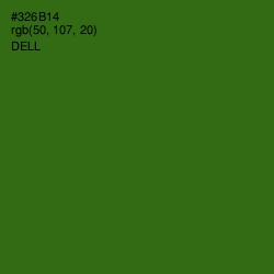 #326B14 - Dell Color Image