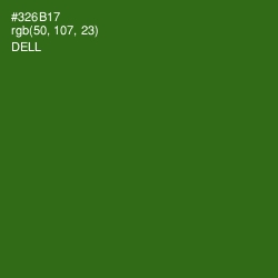 #326B17 - Dell Color Image