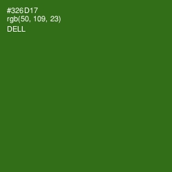 #326D17 - Dell Color Image