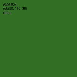 #326E24 - Dell Color Image