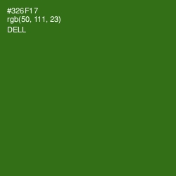 #326F17 - Dell Color Image