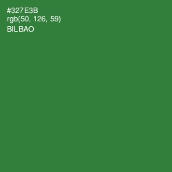 #327E3B - Bilbao Color Image