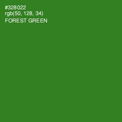#328022 - Forest Green Color Image