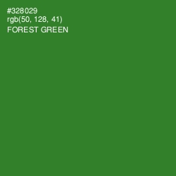 #328029 - Forest Green Color Image