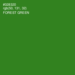 #328320 - Forest Green Color Image