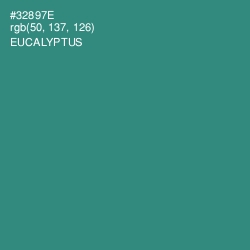 #32897E - Eucalyptus Color Image