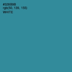 #328B9B - Lochinvar Color Image