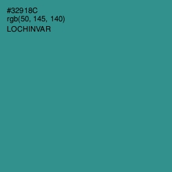 #32918C - Lochinvar Color Image