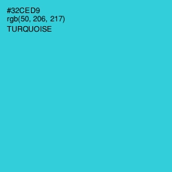 #32CED9 - Turquoise Color Image