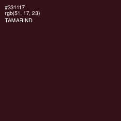 #331117 - Tamarind Color Image