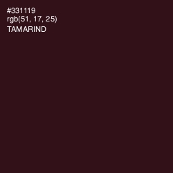 #331119 - Tamarind Color Image