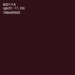 #33111A - Tamarind Color Image