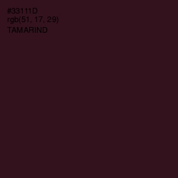 #33111D - Tamarind Color Image