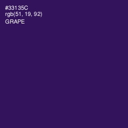 #33135C - Grape Color Image