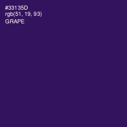 #33135D - Grape Color Image