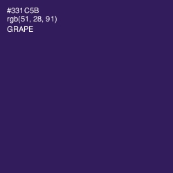 #331C5B - Grape Color Image