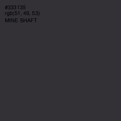 #333135 - Mine Shaft Color Image