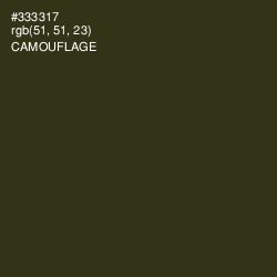 #333317 - Camouflage Color Image