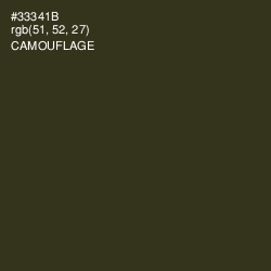 #33341B - Camouflage Color Image