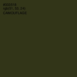 #333518 - Camouflage Color Image