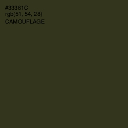 #33361C - Camouflage Color Image