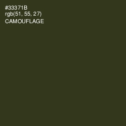 #33371B - Camouflage Color Image