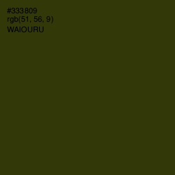 #333809 - Waiouru Color Image