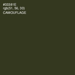 #33381E - Camouflage Color Image
