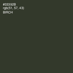 #33392B - Birch Color Image