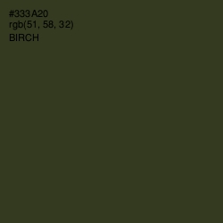 #333A20 - Birch Color Image