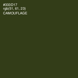 #333D17 - Camouflage Color Image