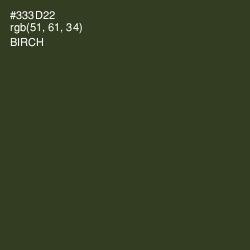 #333D22 - Birch Color Image