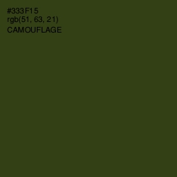 #333F15 - Camouflage Color Image