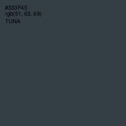 #333F45 - Tuna Color Image