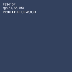 #33415F - Pickled Bluewood Color Image