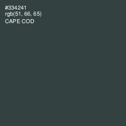 #334241 - Cape Cod Color Image