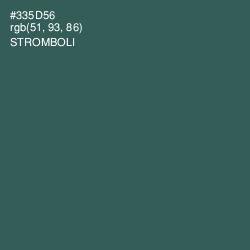 #335D56 - Stromboli Color Image